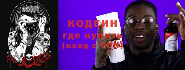 хмурый Алексин