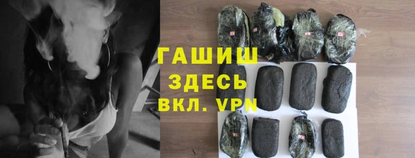 хмурый Алексин