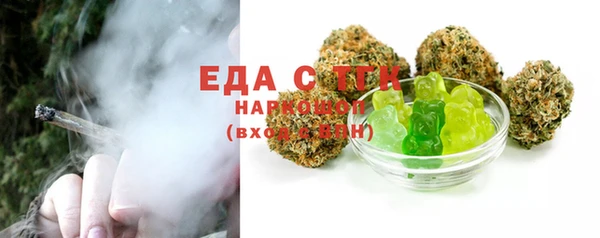 хмурый Алексин