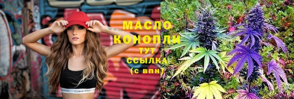мдпв Пестово