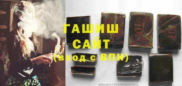 хмурый Алексин