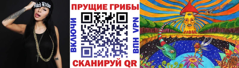 Псилоцибиновые грибы мицелий  Порхов 